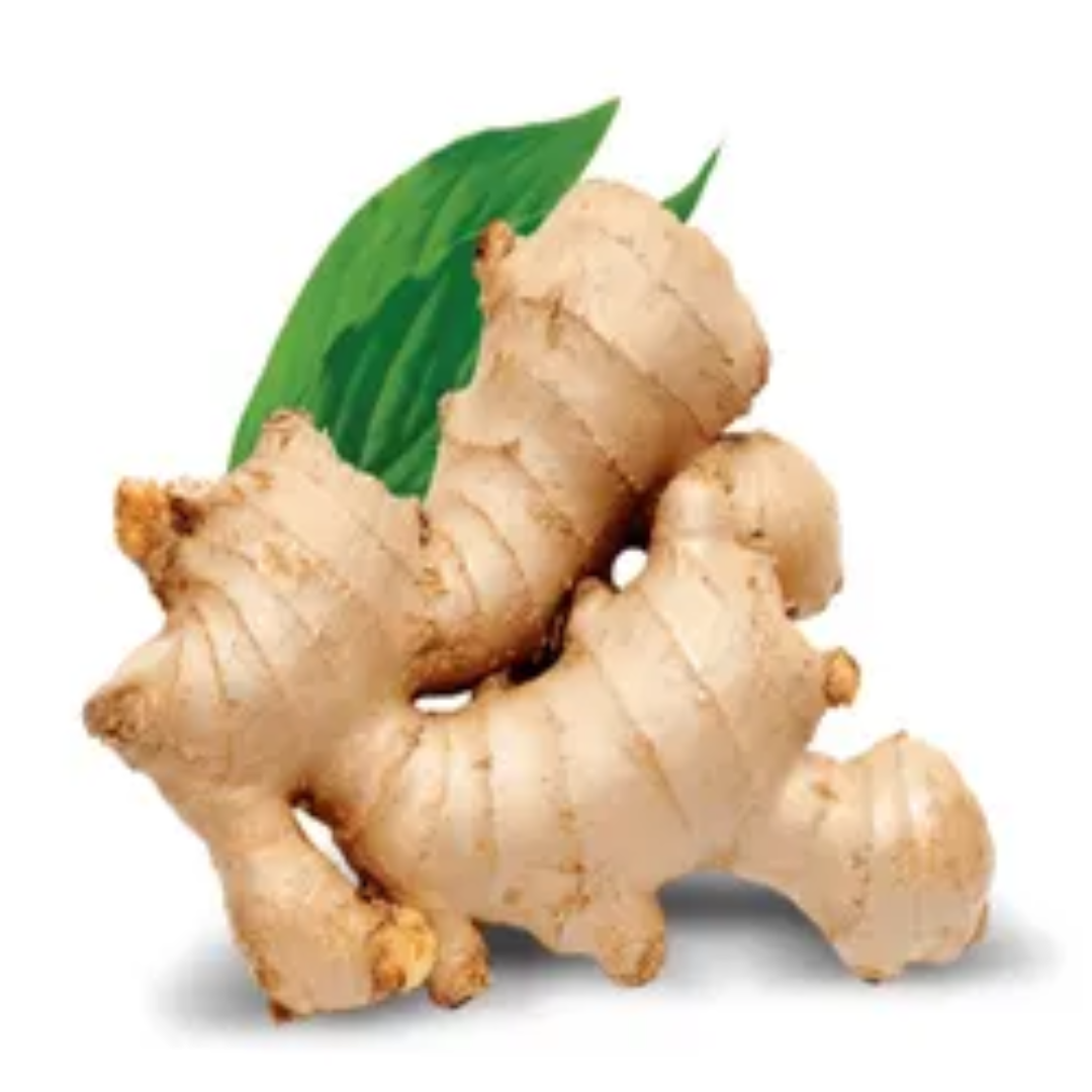Wholesale Fresh Ginger, Pesticide-Free Supplier – Dubai